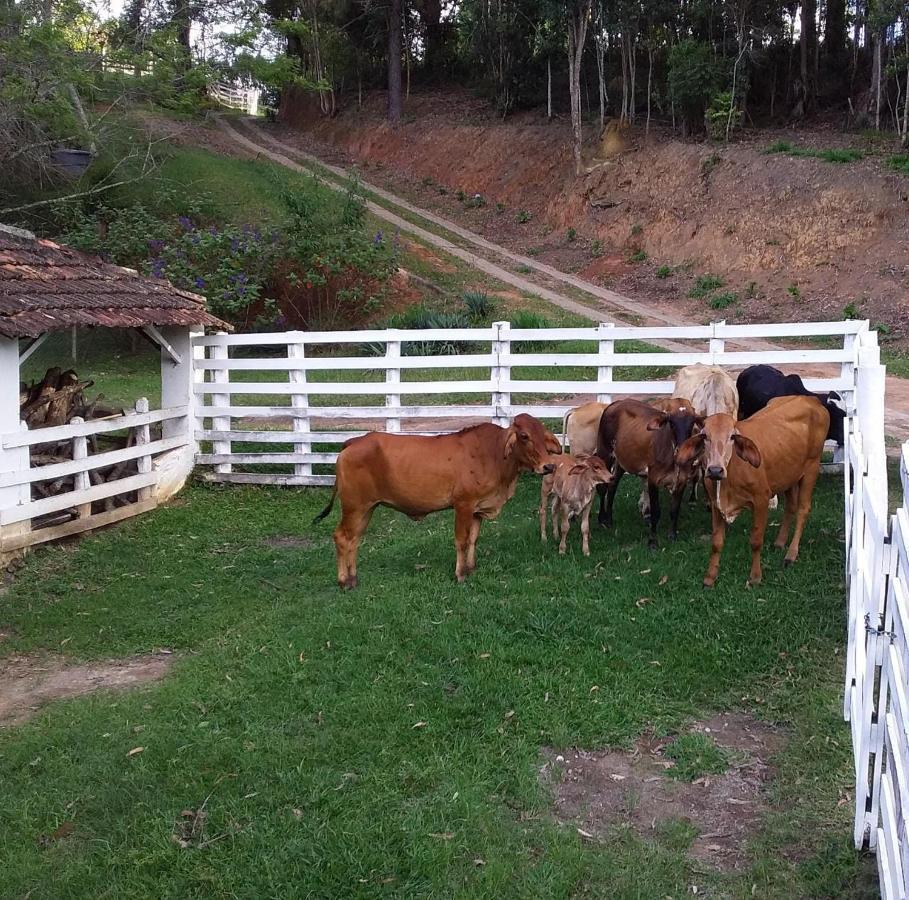 Chales Vinhas Da Harmonia L Pousada Em Cunha Sp Exteriér fotografie